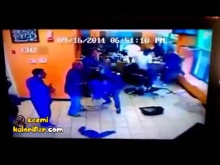 Berbere Giren Pitbull