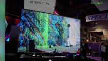 HD Nation from CES: 2014 HDTVs: OLED, Curved, 4K UHD, Plasma's Dead, Streaming 4K Content, MORE! - HD Nation