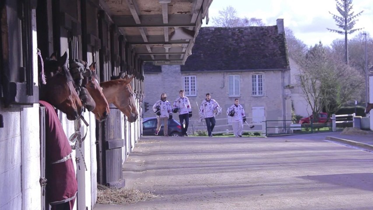 Les Drakkars en route pour les Jeux Equestres Mondiaux 2014