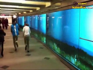 Ryan Hall İle Dijital Olarak Yarışmak