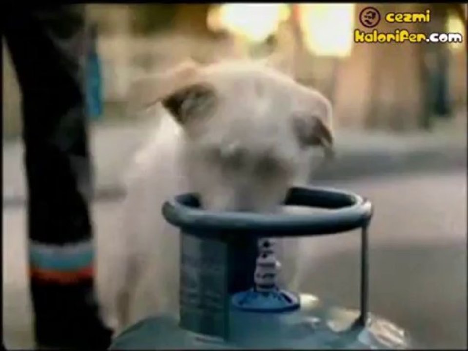 İpragaz Bobi Reklamı