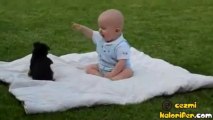 Bebek Ve Köpeğin Oyunu