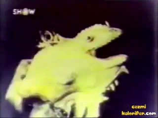 Cüneyt Arkın ve Kurbağaya Dönüşen Kız