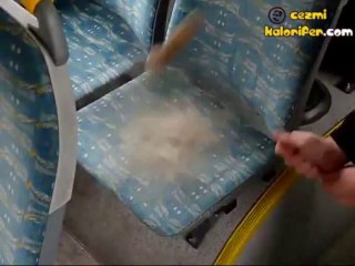 Temizmiş Gibi Görünen Otobüs Koltuğunun Gerçek Yüzü