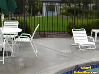 Havuza Düşen Yavrularını Dahiyane Bir Şekilde Çıkaran Anne Ördek