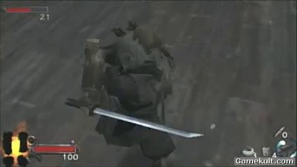 Tenchu : Time of the Assassins - Riki ou la belle vie