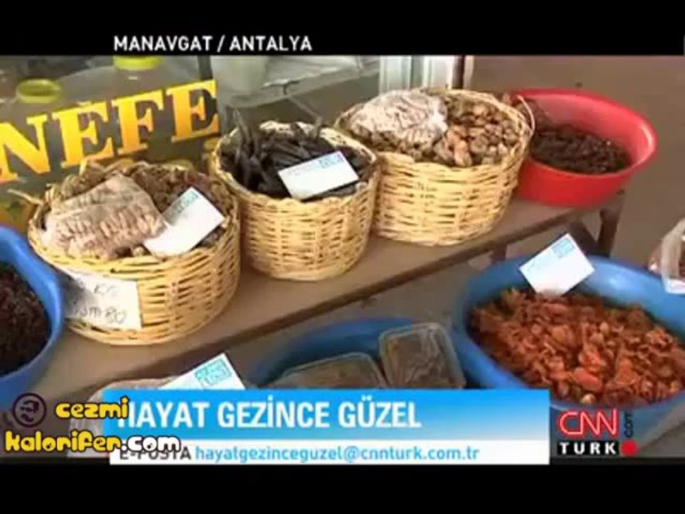 Aksan Üstadı Salih Dayı