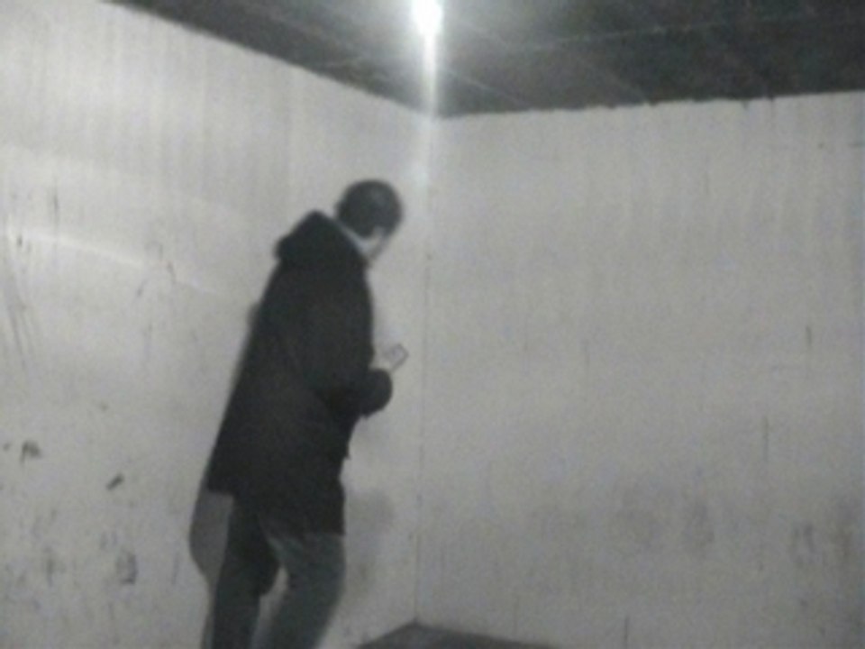 NIEDER SCREDBULL