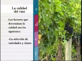 ABC Vino - Capitulo 13_ Preguntas en torno al vino(360p_DASH_H.264-AAC)