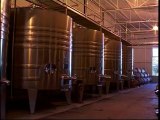 ABC Vinos - Capitulo 4_ Los Vinos blancos(360p_DASH_H.264-AAC)