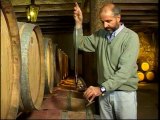 ABC Vinos - Capitulo 5_ Los Vinos tintos(360p_DASH_H.264-AAC)