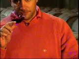 ABC Vinos - Capitulo 8_ La crianza de los vinos(360p_DASH_H.264-AAC)