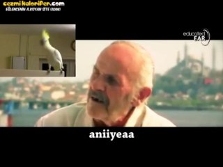 Çipetpet - Educatedear Remix