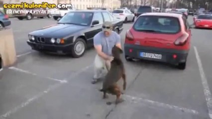 Askerden Gelen Sahibini Görünce Çılgına Dönen Köpek