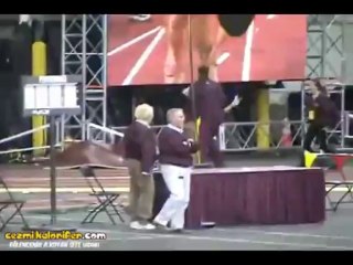 Son 200 mt'de Düşüp, Kalkıp, Yarışı Kazanmak