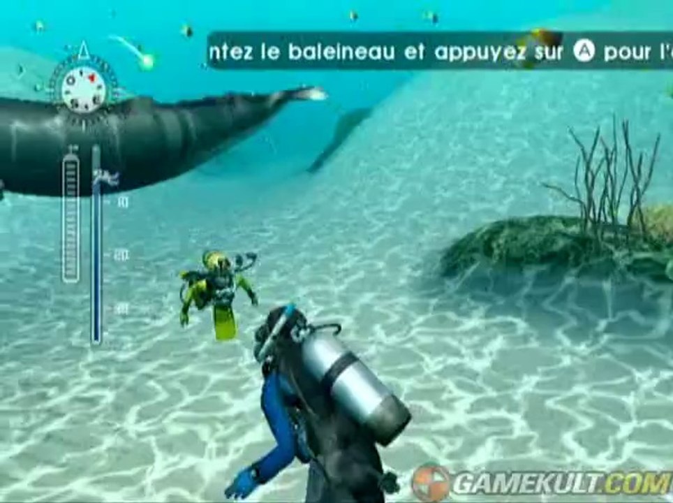 Endless Ocean 2 : Aventuriers des fonds marins - Une sacrée rencontre