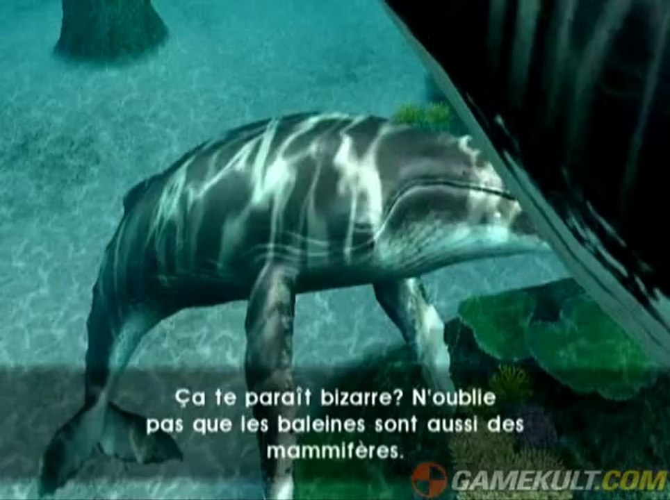 Endless Ocean 2 : Aventuriers des fonds marins - La baleine sauvée