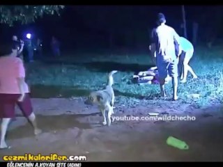 Gerçek Street Fighter