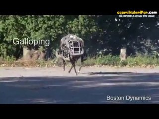 İlk Defa Güneş ve Doğayla Karşılaşan Mutlu Robot