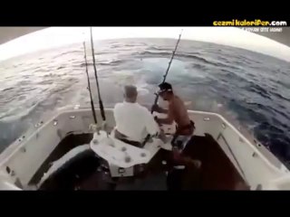 Tekneyi Birbirine Katan Kılıçbalığı