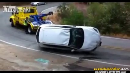 Otomobili Kurtardıktan Sonra Doğal Yaşamına Salmak