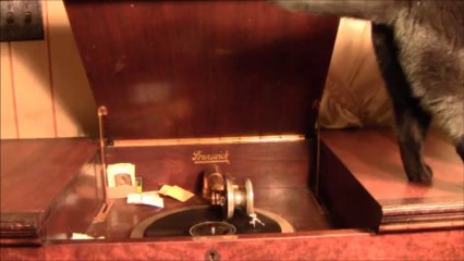 Flapperette: Nat Shilkret