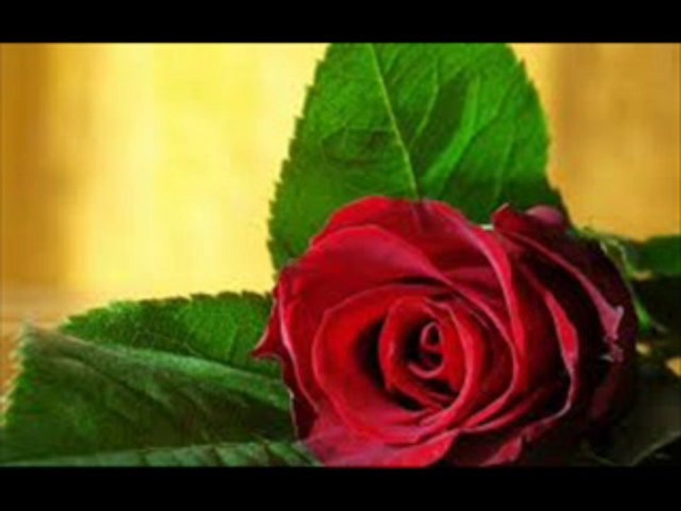 Young track aka Treezy cant let you go