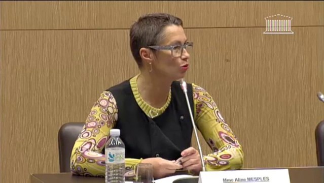 Audition de l’Organisation des transporteurs routiers européens (OTRE) - Mercredi 15 Janvier 2014