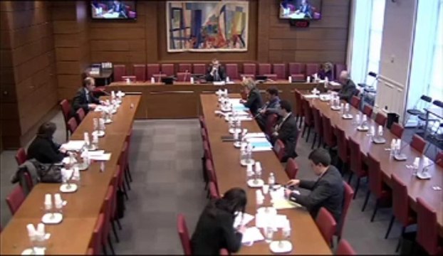 Audition de M. Sébastien Raspiller, Comité interministériel de la restructuration industrielle - Jeudi 11 Avril 2013