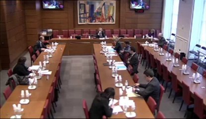 Audition de M. Sébastien Raspiller, Comité interministériel de la restructuration industrielle - Jeudi 11 Avril 2013