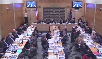 Election des conseillers départementaux - Mercredi 3 Avril 2013