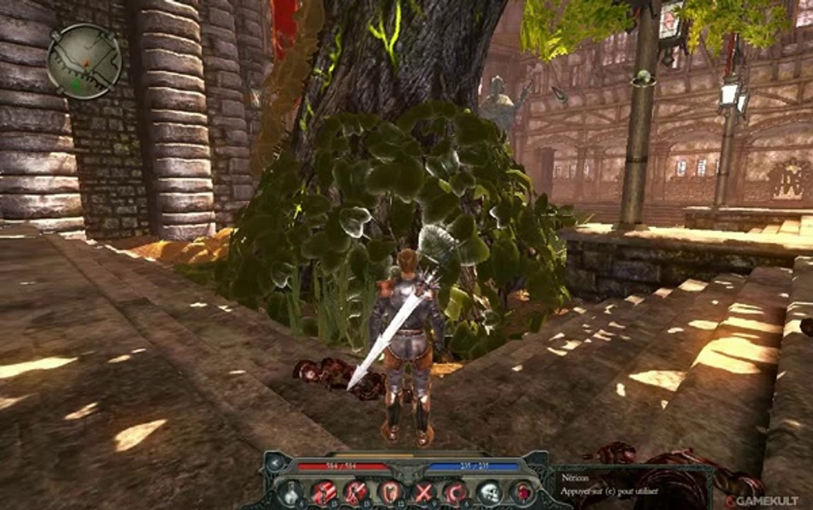 Divinity II : The Dragon Knight Saga - Mauvaise blague !