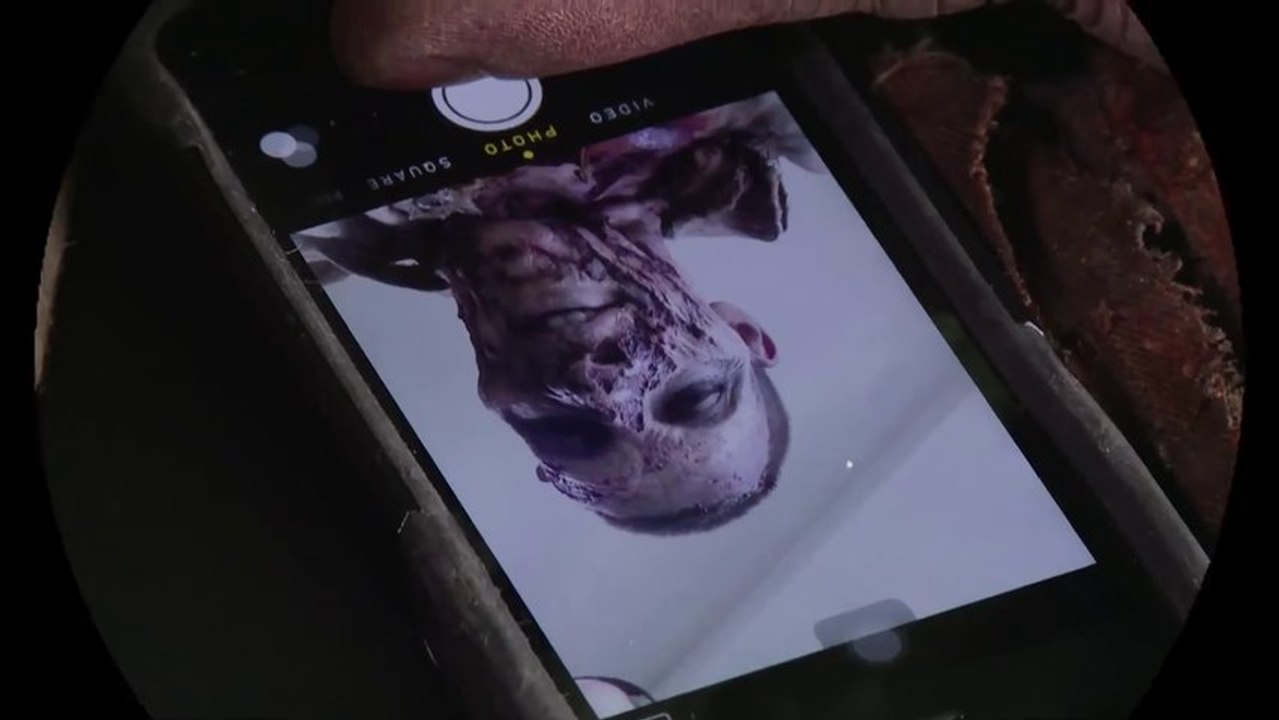 Un manchot se déguise pour faire peur aux gens en mode Walking Dead et Zombies!