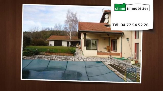 Vente - maison/villa - SAINT VICTOR SUR LOIRE (42230) - 8 pièces - 250m²