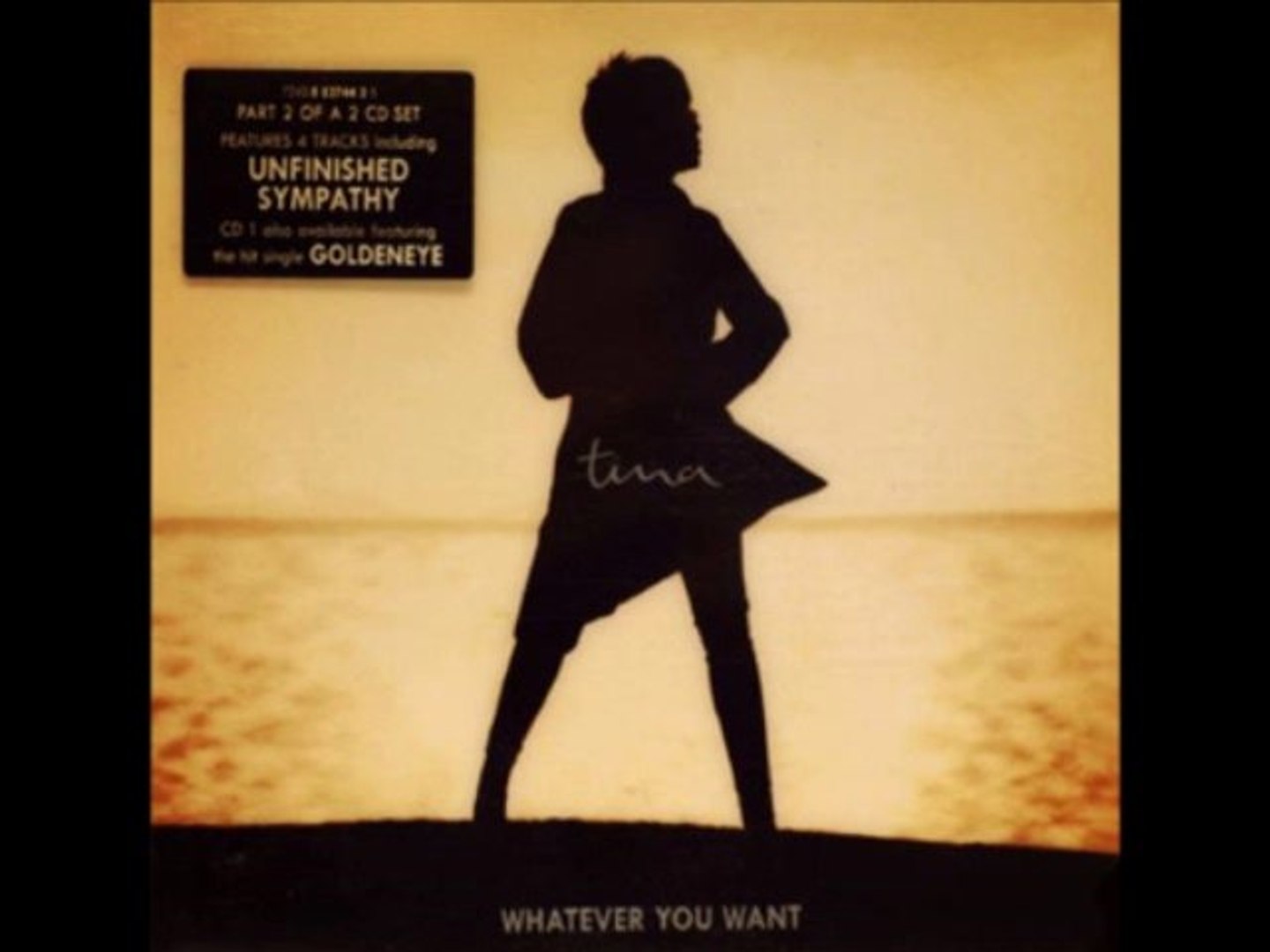 Tina Turner Unfinished Sympathy Extended Olympic Mix Hq