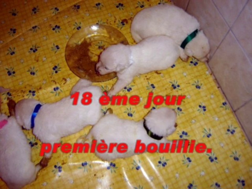 3ème jour au 21 ème jour.