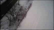 Un faucon chasse sa proie (caméra embarquée)