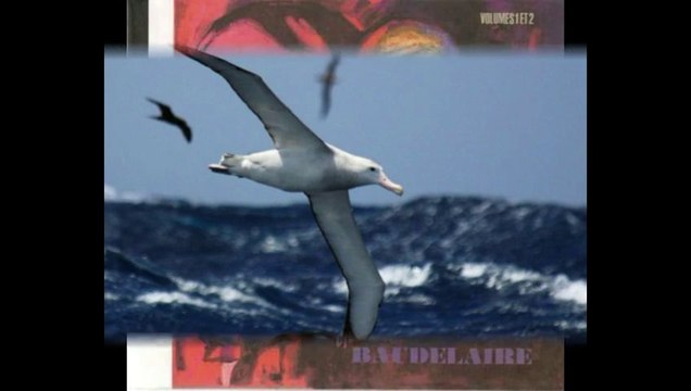 Léo Ferré/Baudelaire-L'albatros
