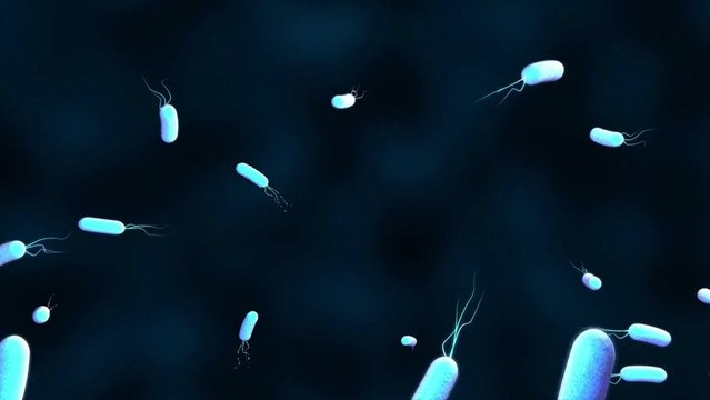 Bacterial resistance to antibiotics
