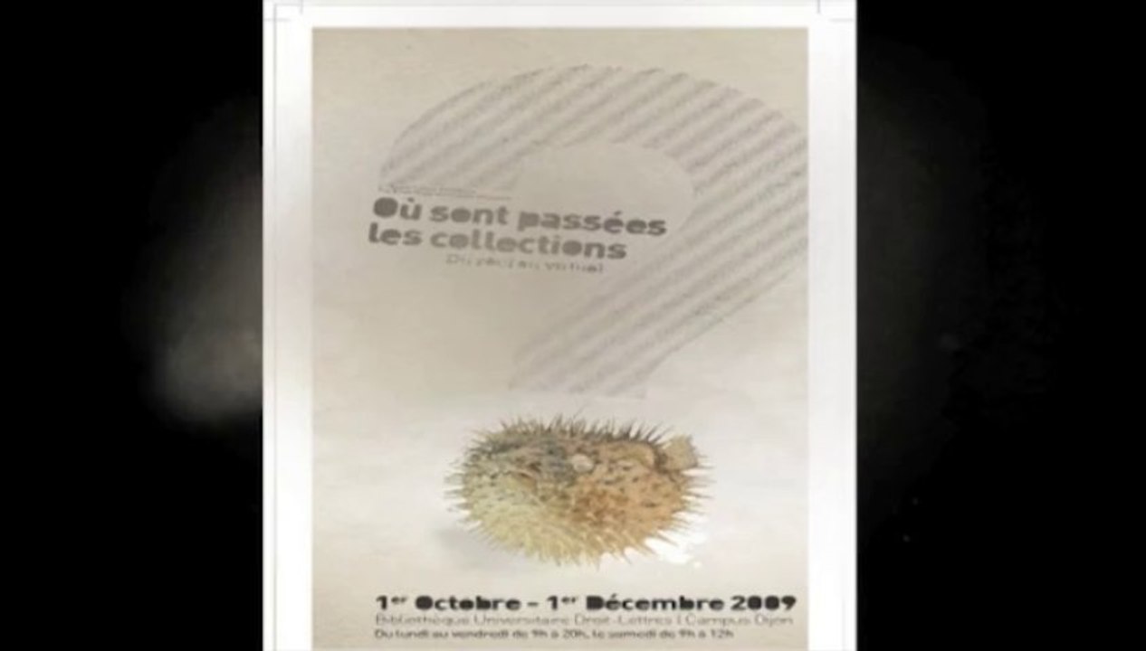 Où sont passées les collections : les livres anciens