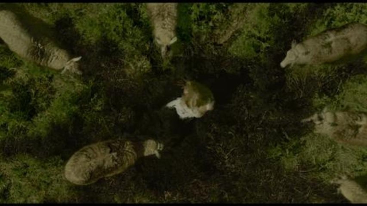 Nothing Left To Fear - Trailer (Deutsch) HD