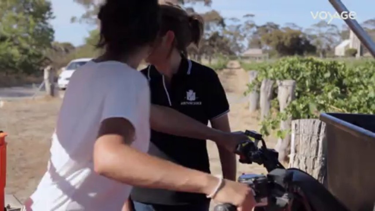 La route des vins : Australie, Le domaine de Henschke