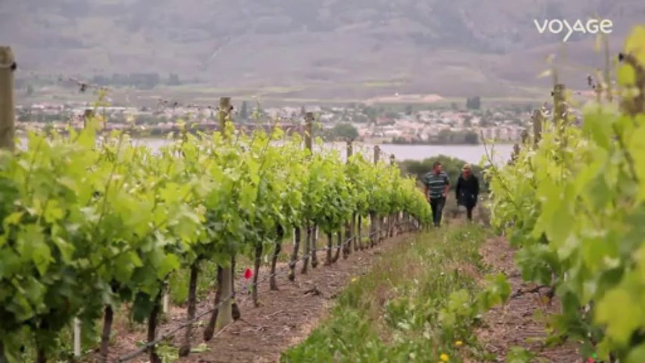 La route des vins : Canada, Le Nk' Mip Cellars