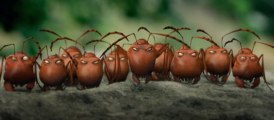 Bande-annonce Minuscule - La Vallée des fourmis perdues