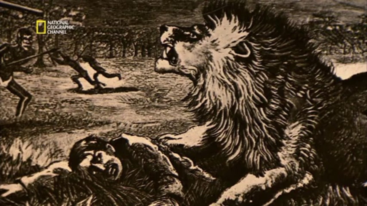 Livingston et les esclaves