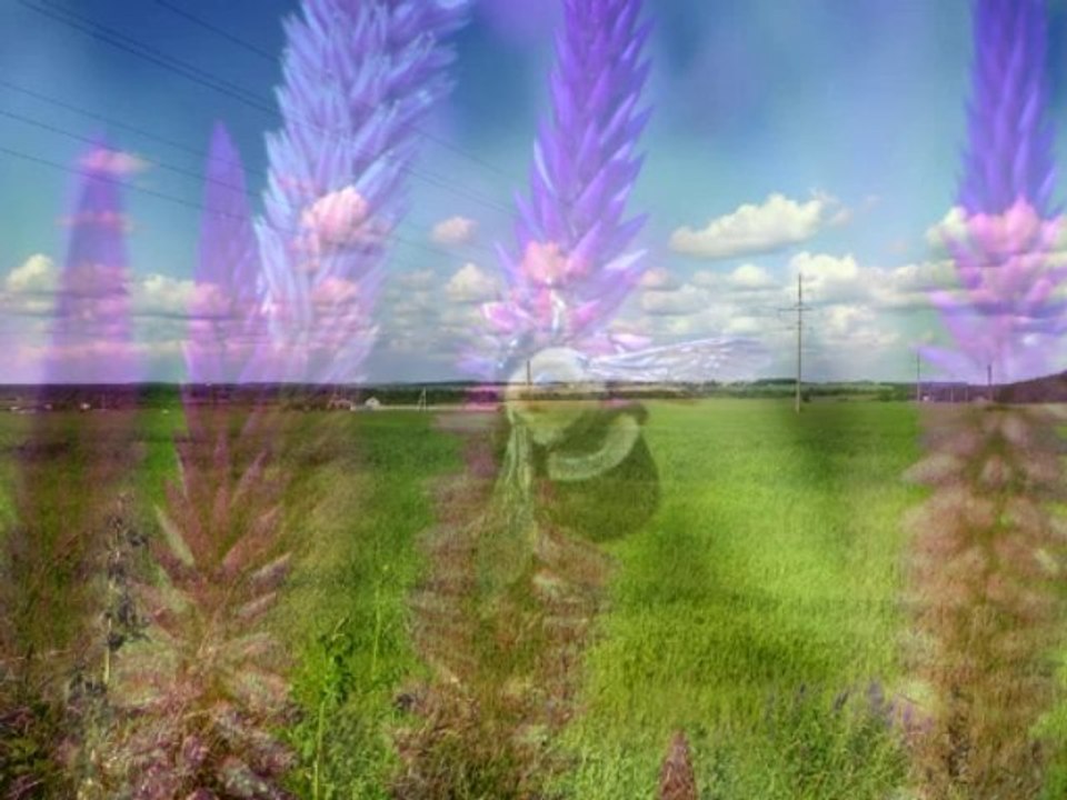Where Young Hearts, Barefoot, Tread (alternative rock song)