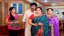 Pattu Saree 17 January 2014 , Pattu Saree 17-01-2014, Pattu Saree Latest Episode P1