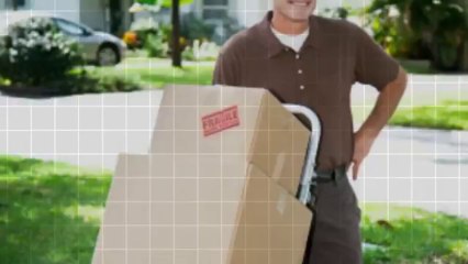 Manassas Econo Van Lines LLC - (703) 520-7065