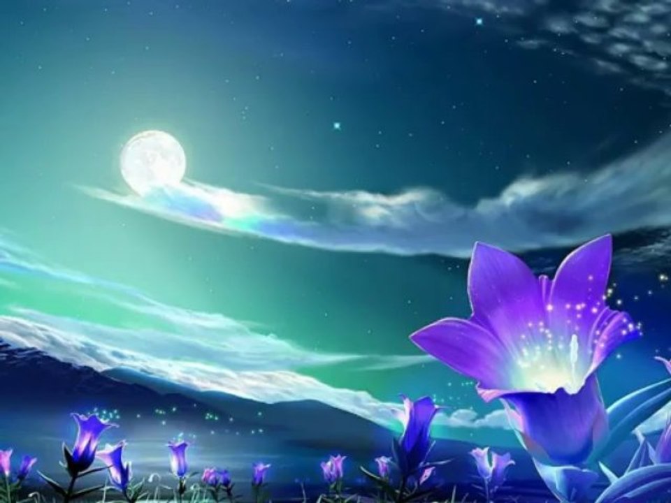 Noche de Luna - Jonazg