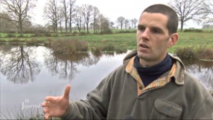 Agriculture: Opération de reboisement (La Chaize-le-Vicomte)